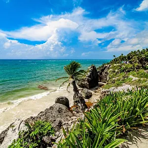 The Hibiscus House Tulum