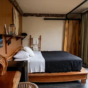 2* Hotel Bufo Alvarius