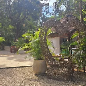  Penzion Kin Jungle Deluxe